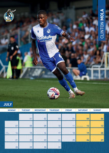 Bristol Rovers FC Official 2025 A3 Pirates Football Wall Calendar